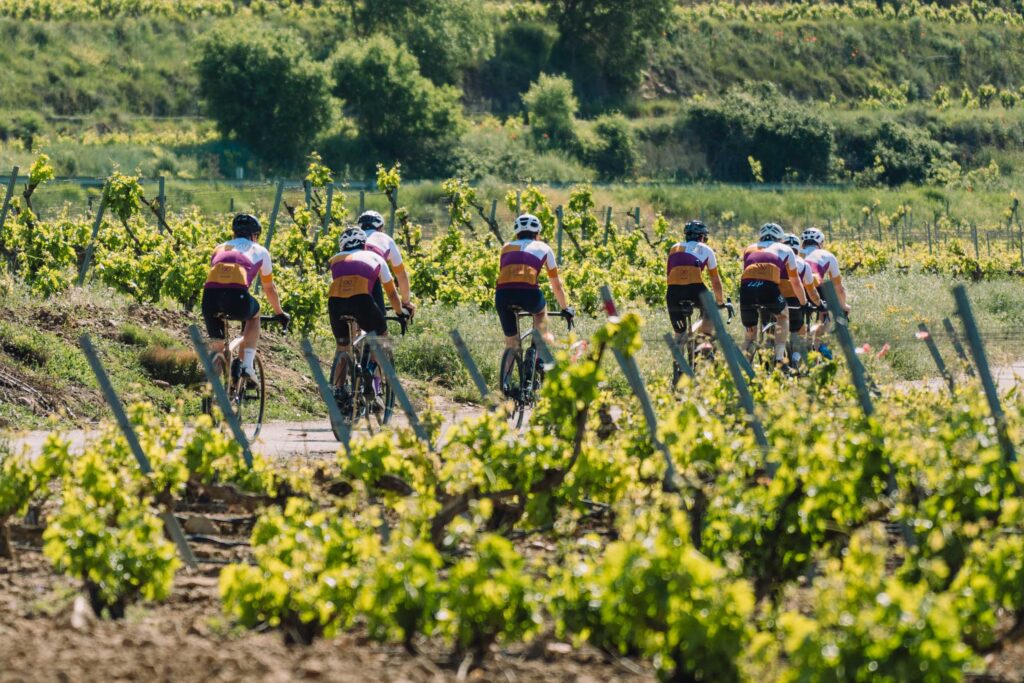 Gravel en la rioja alavesa. grupo ciclista en la rioja. Bicis de gravel.